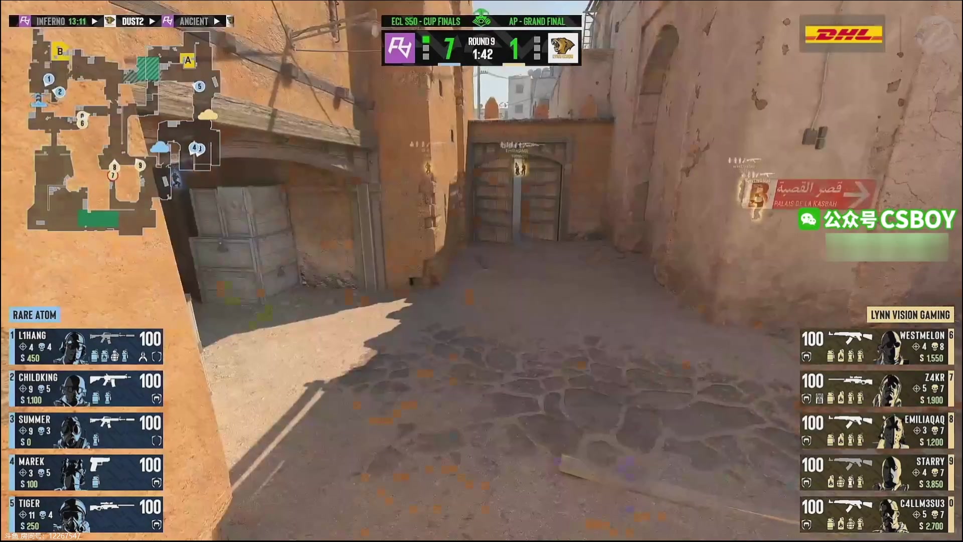 【2025-11-20 22点场】Big茄子：和小狗一起看老虎比赛^