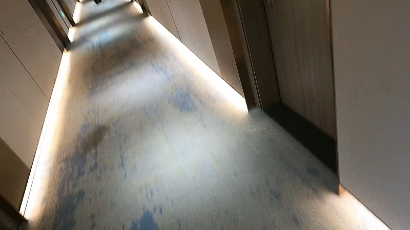 【2025-11-21 完整版】主播阿飞：第7天 全力