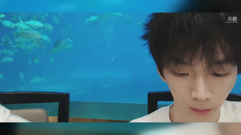 【2025-11-21 19点场】小乐碎片:不会再输了！