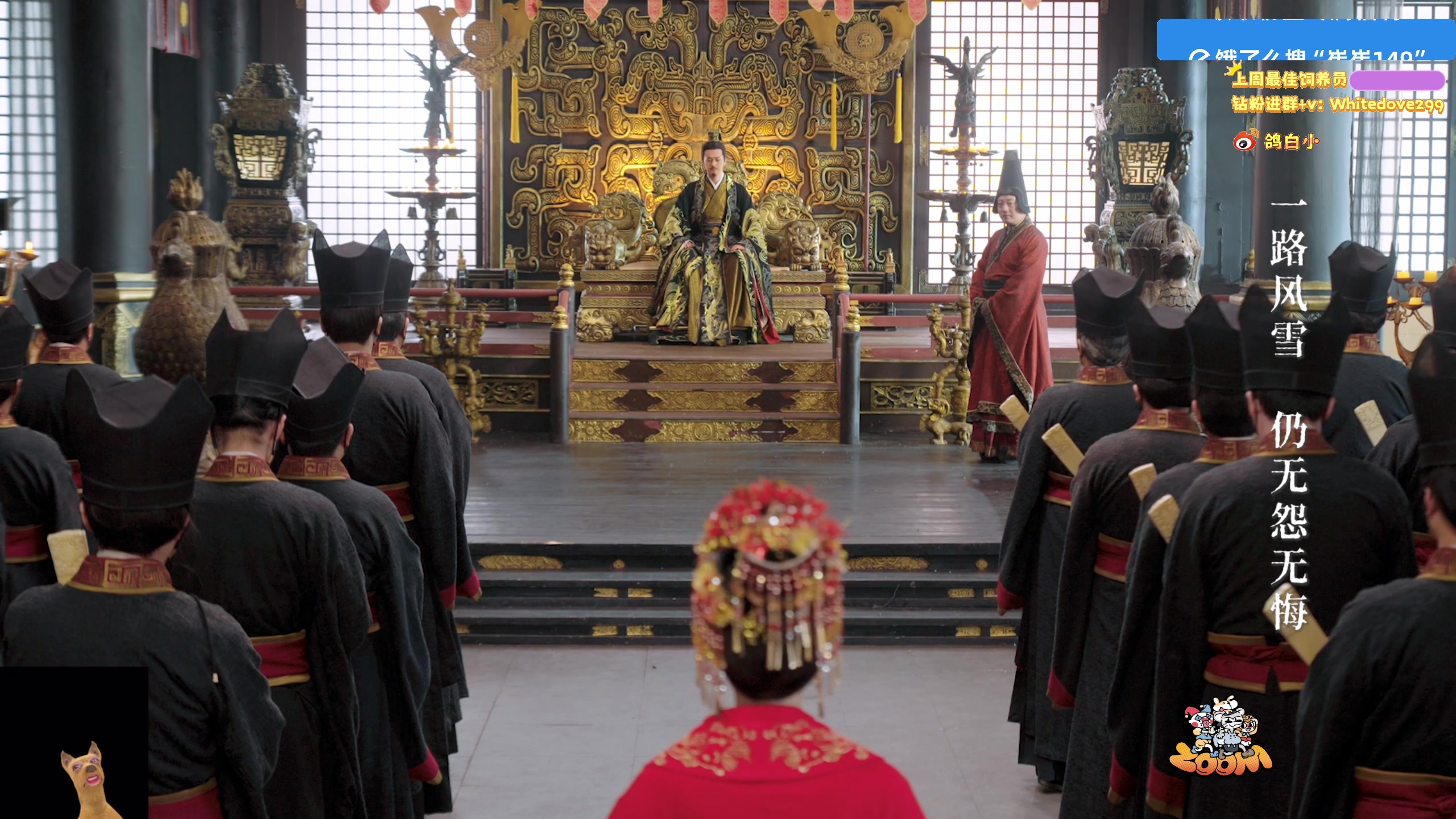 【2025-11-21 22点场】小白鸽WhiteDove：【小白鸽】 宝宝们 集合！