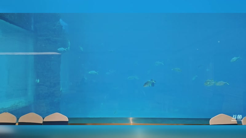 【2025-11-21 19点场】特特zzz:马场户外探险