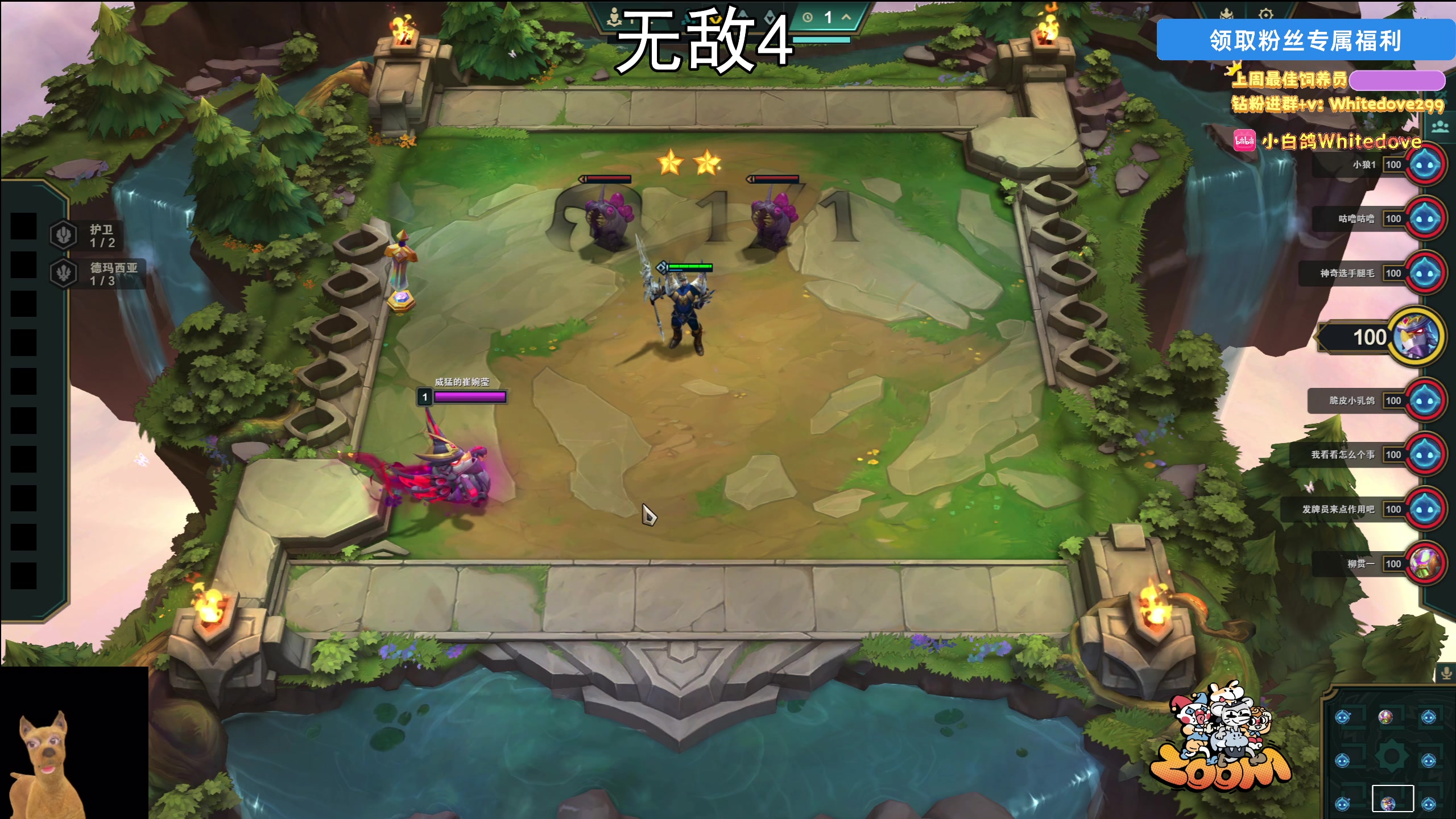 【2025-11-22 20点场】小白鸽WhiteDove：【小白鸽】 宝宝们 集合！