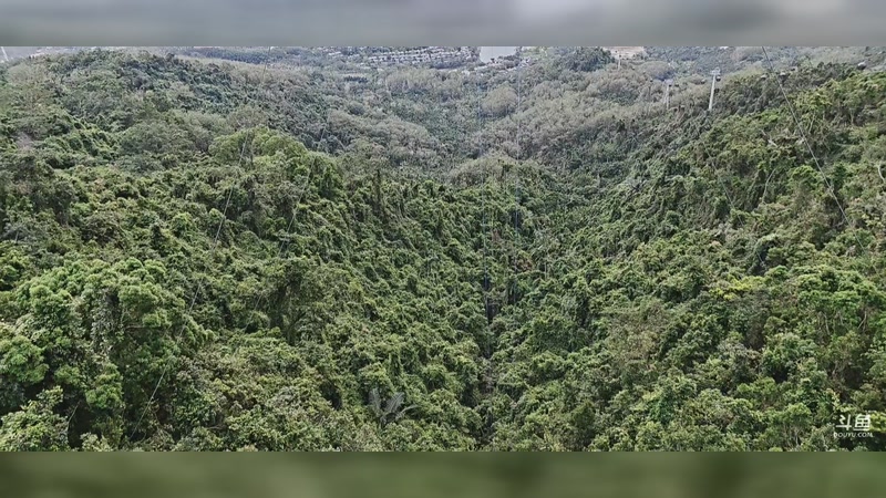 【2025-11-21 17点场】特特zzz:马场户外探险