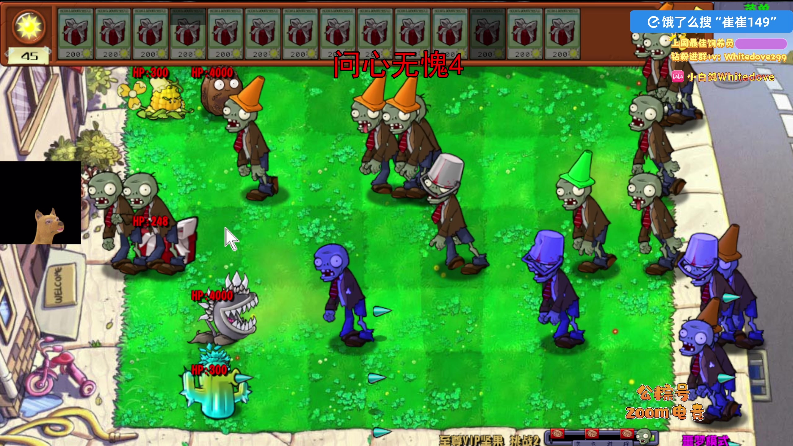 【2025-11-22 00点场】小白鸽WhiteDove：【小白鸽】 宝宝们 集合！