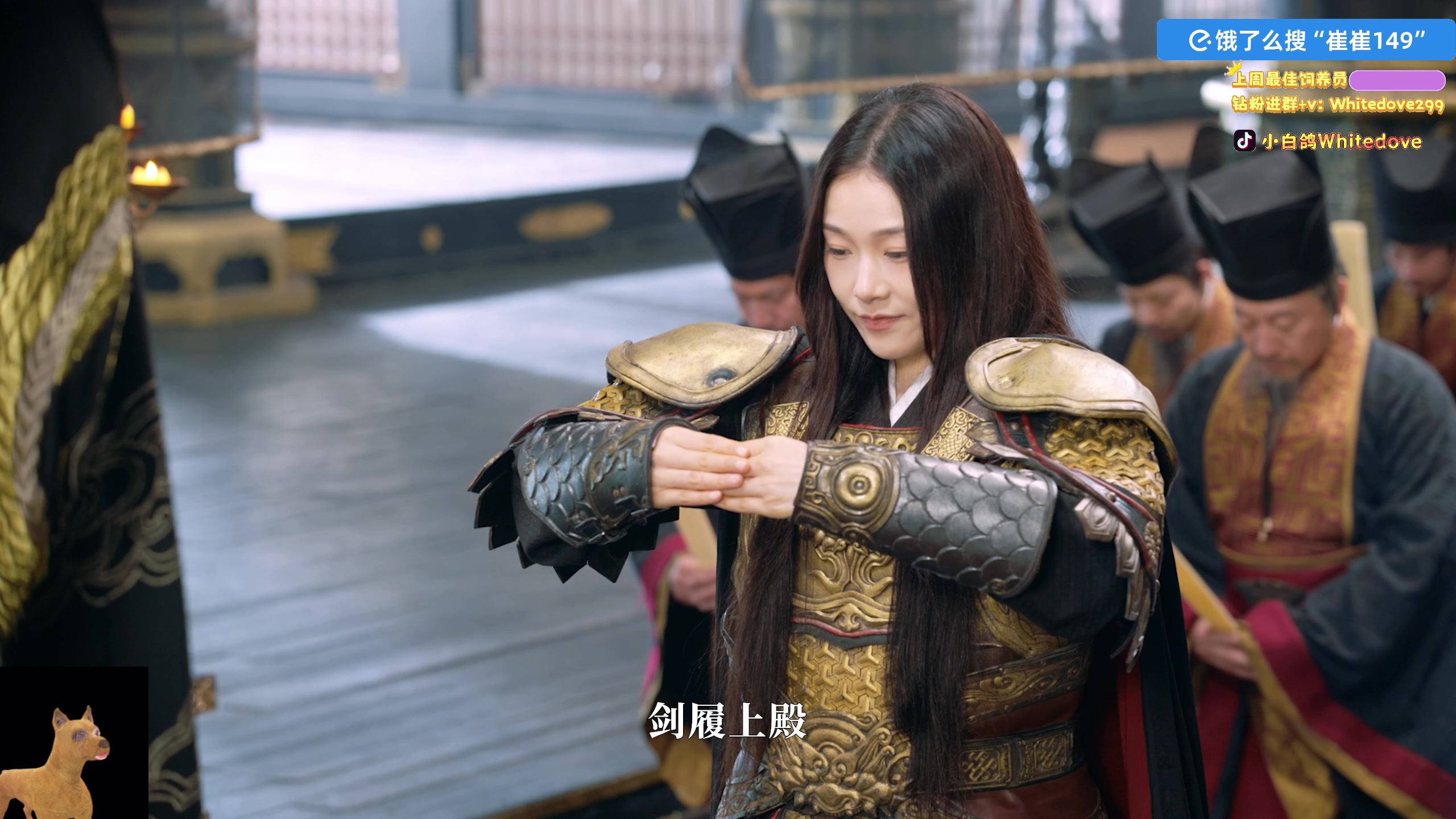 【2025-11-21 23点场】小白鸽WhiteDove：【小白鸽】 宝宝们 集合！