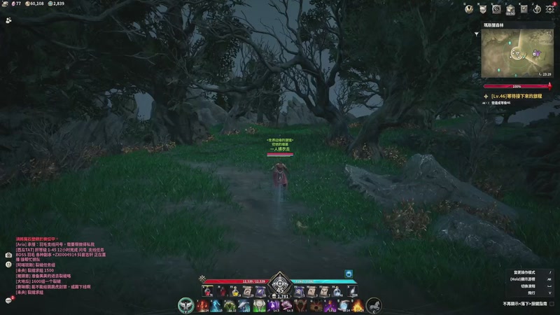 【2025-11-22 17点场】戴老六：永恒之塔2 精灵使开发