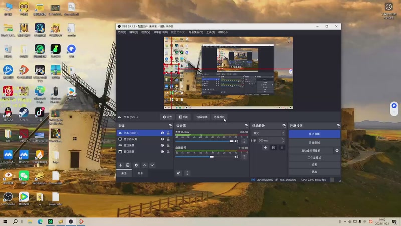 【2025-11-23 19点场】iameer0：【直播】7点直播古树杯