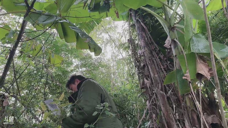 【2025-11-23 16点场】小皮【南波家族】：祝梦想哥生日快乐！