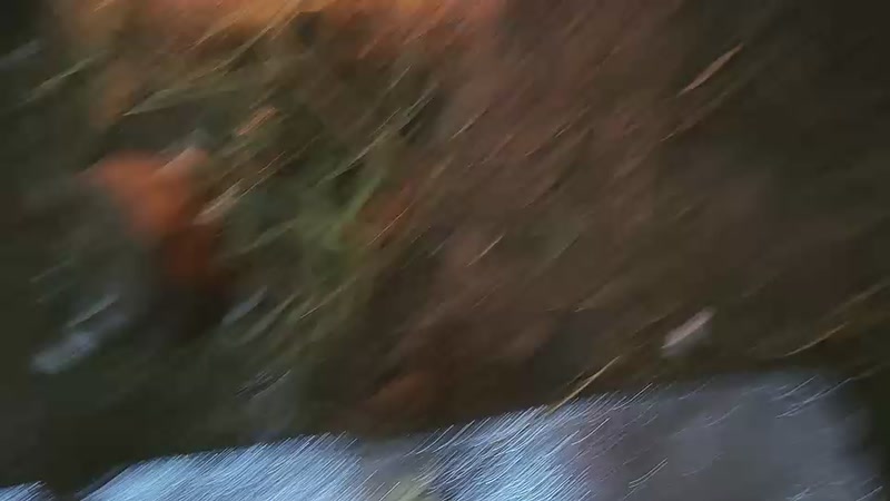 【2025-11-22 完整版】冰凡【南波家族】：上岛第一天