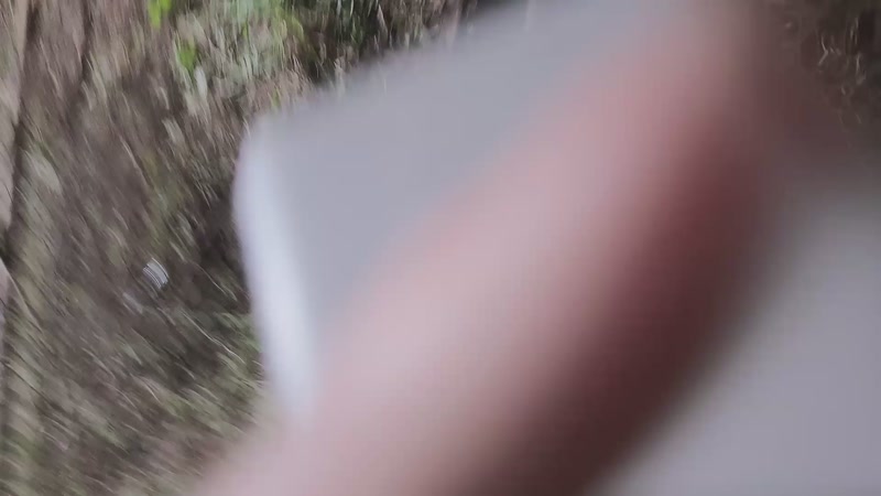 【2025-11-23 18点场】小皮【南波家族】：祝梦想哥生日快乐！