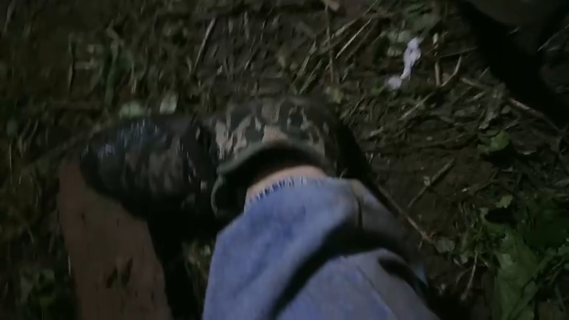 【2025-11-23 完整版】冰凡【南波家族】：上岛第一天