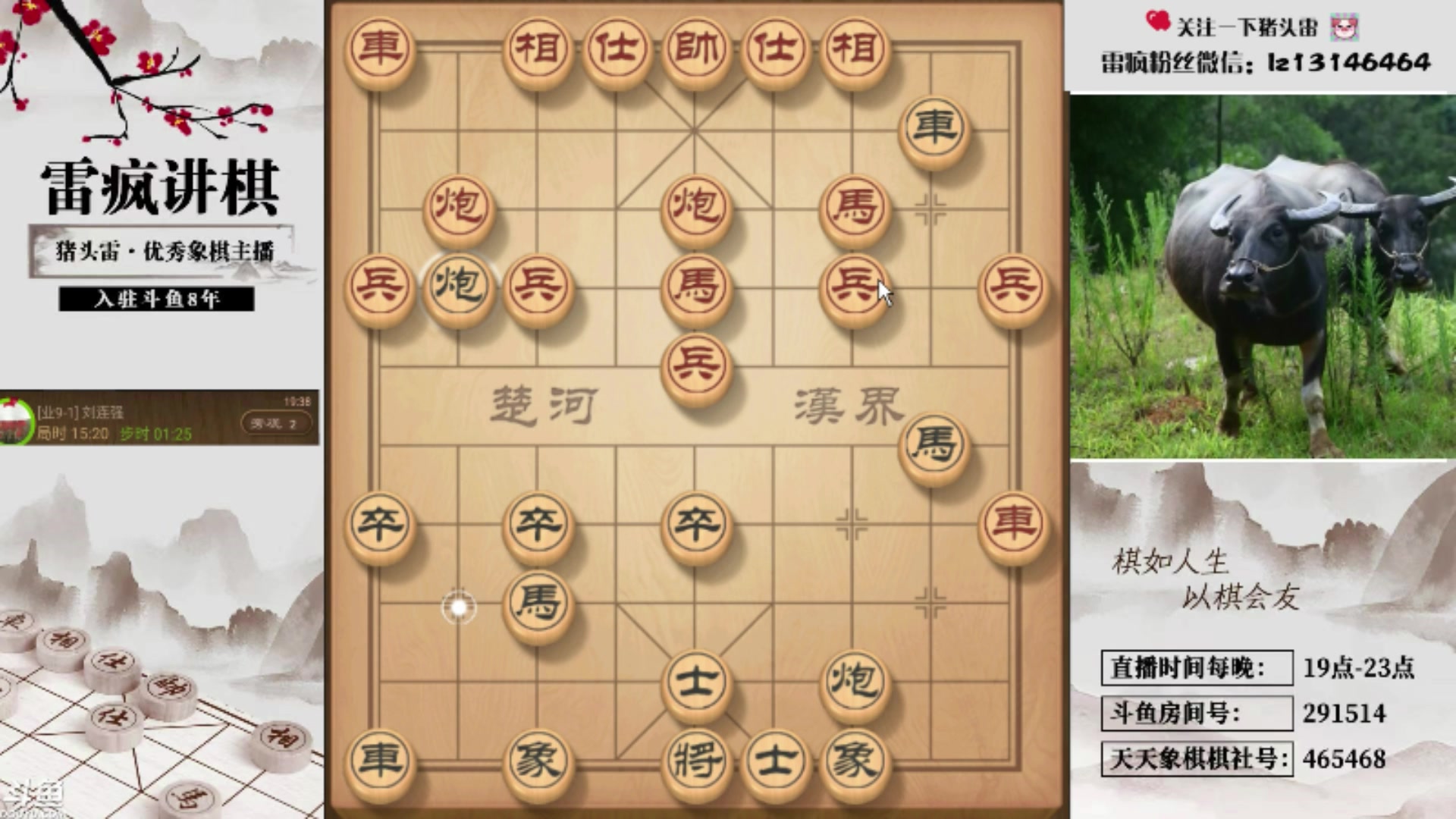 【2025-11-23 10点场】雷疯小叔：霸道的疯子：吾乃象棋界不老松，谁与争锋？