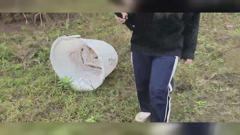 【2025-11-23 11点场】小皮【南波家族】：祝梦想哥生日快乐！