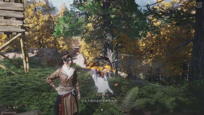 【2025-11-23 05点场】冰之树：奇迹奇迹的一天