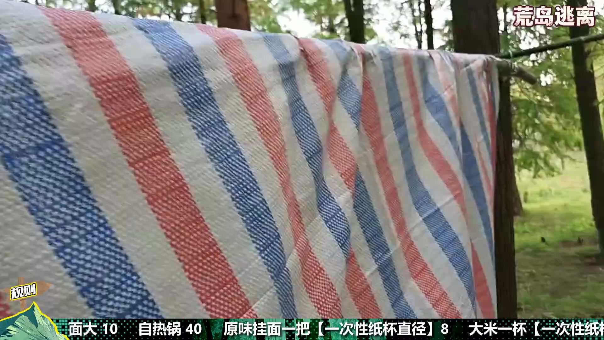 【2025-11-24 16点场】南波儿大魔王丶：戶外-荒島求生 Day3