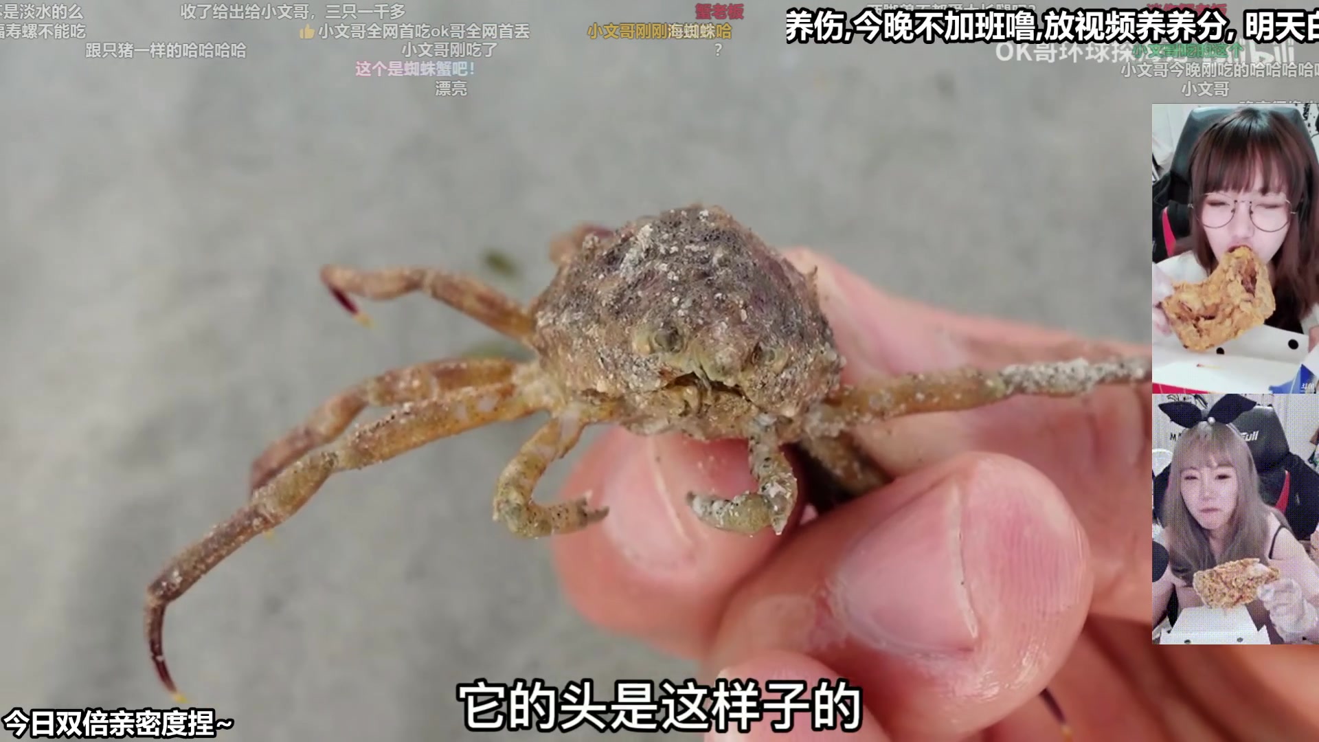 【2025-11-24 06点场】甜心战士：双倍,明天白天要去医院,下午再来