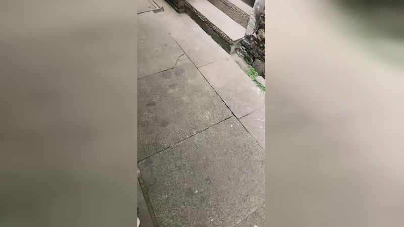 【2025-11-22 18点场】咕噜橙o：唠嗑唠嗑唠嗑 8430715