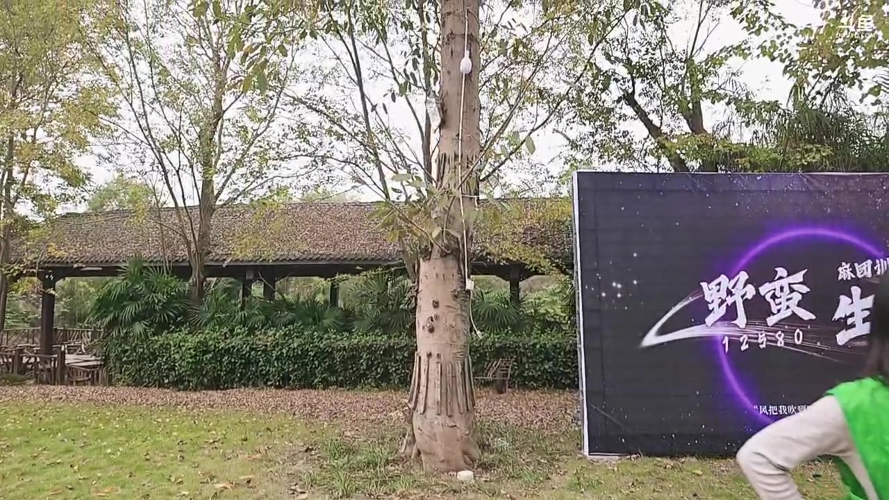 【2025-11-24 15点场】叶子户外：12580团播（成都站）s4