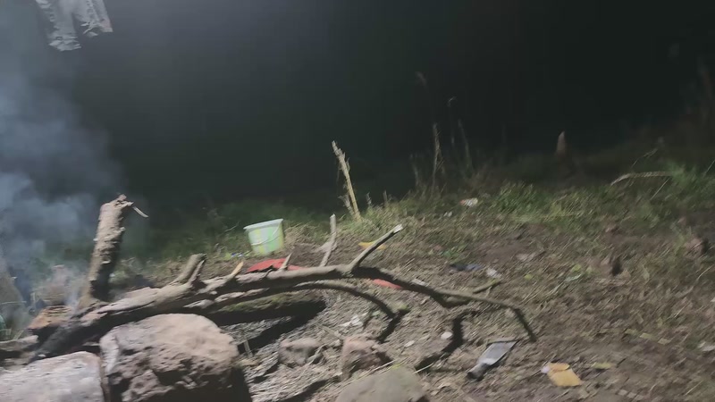 【2025-11-24 完整版】小皮【南波家族】：祝梦想哥生日快乐！