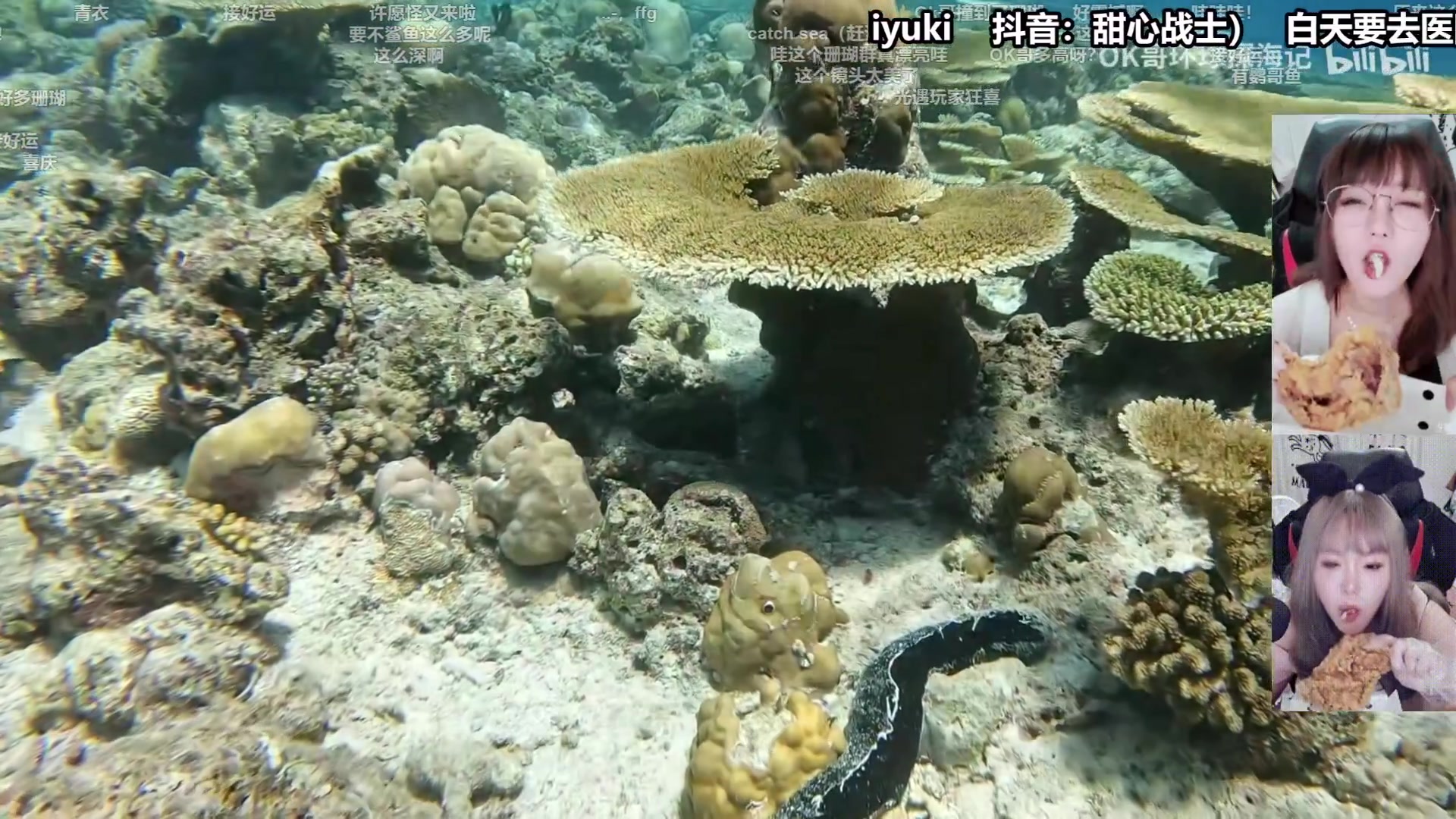 【2025-11-24 12点场】甜心战士：白天去医院力,可能下午或晚上来播~