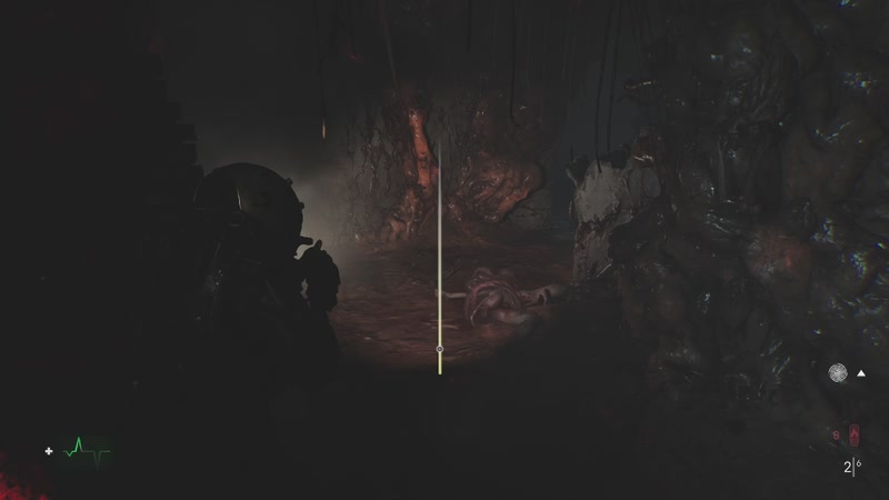 【2025-11-24 01点场】zzispig：时间旅者：重生曙光