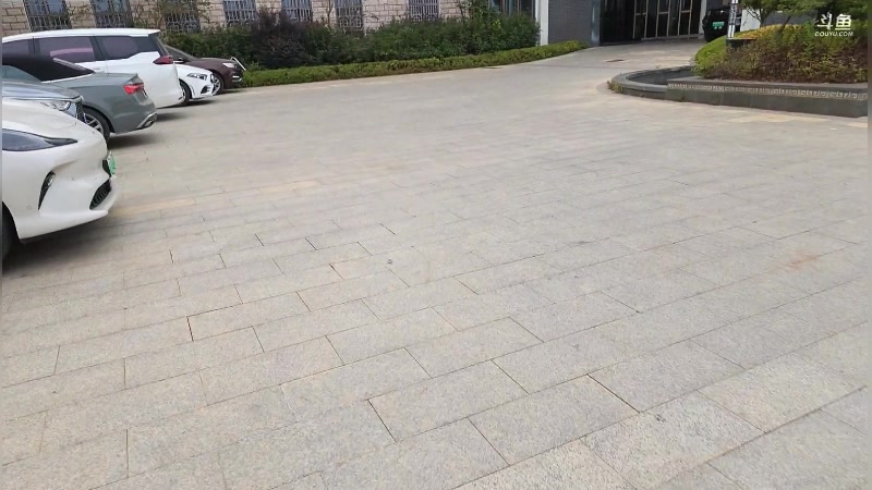 【2025-11-24 14点场】谢彬DD：喂,在吗?进来看Show了.