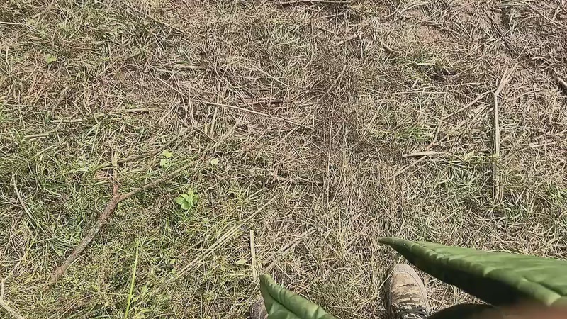 【2025-11-24 完整版】冰凡【南波家族】：户外第三天