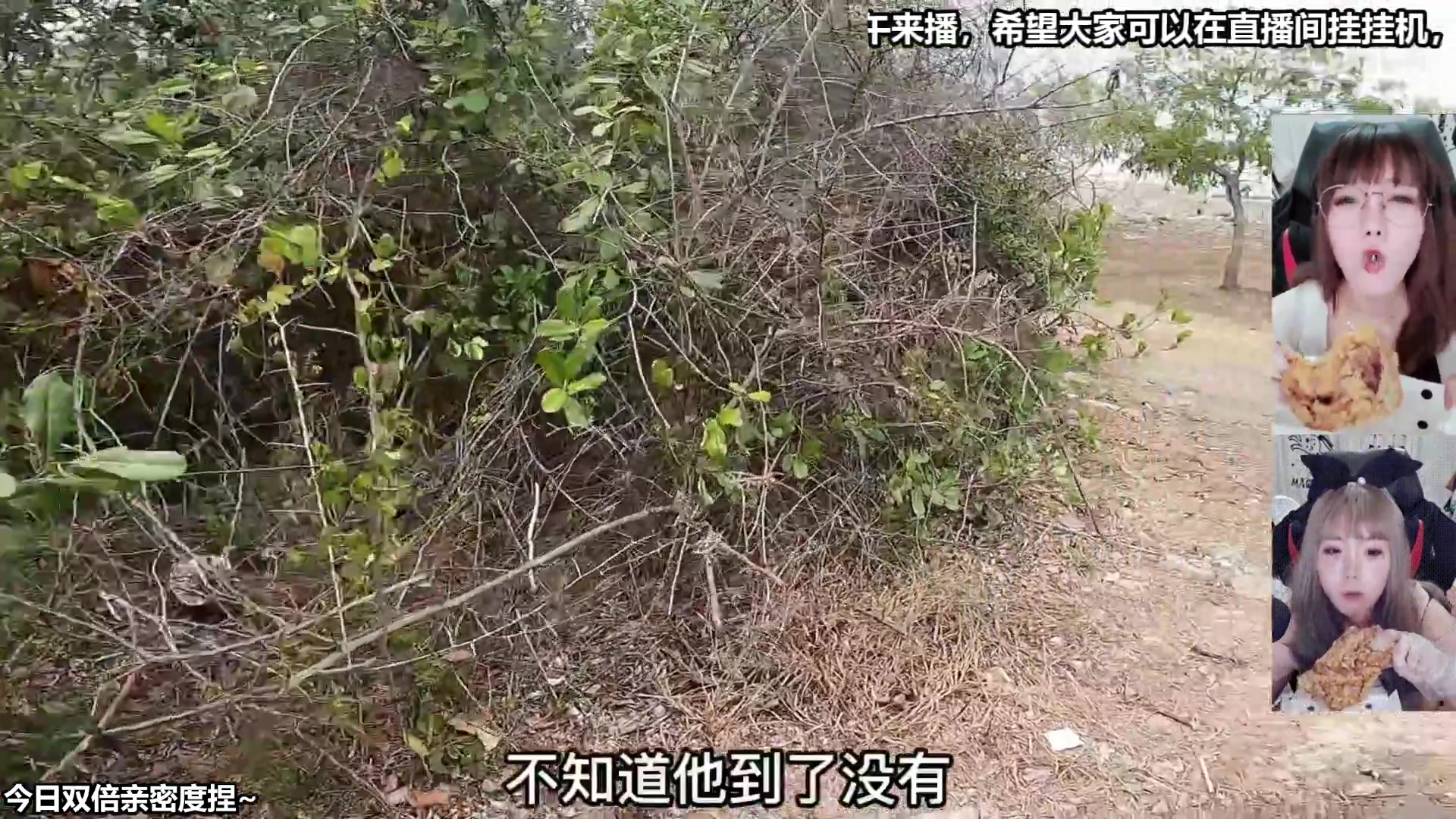 【2025-11-23 21点场】甜心战士：双倍,明天白天要去医院,下午再来