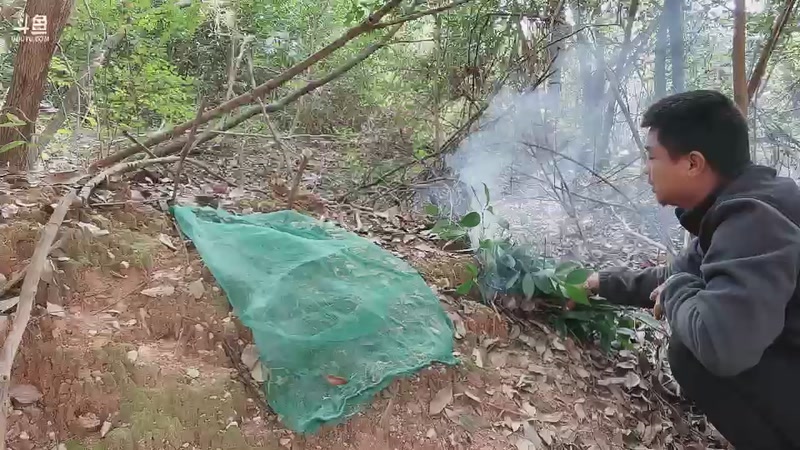 【2025-11-25 11点场】主播阿郎：户外生存2Day8-最后两人