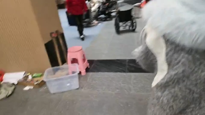 【2025-11-25 完整版】右手supking：户外第10天！大唐盛世