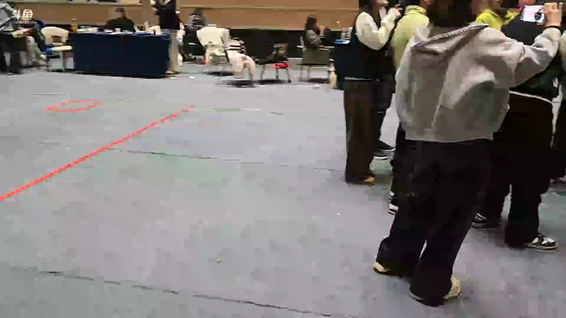 【2025-11-24 23点场】右手supking：户外第9天！大唐盛世