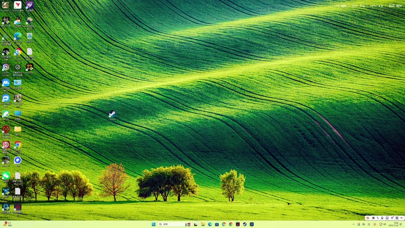 【2025-11-25 19点场】寅子：直播中。。。。。 71415