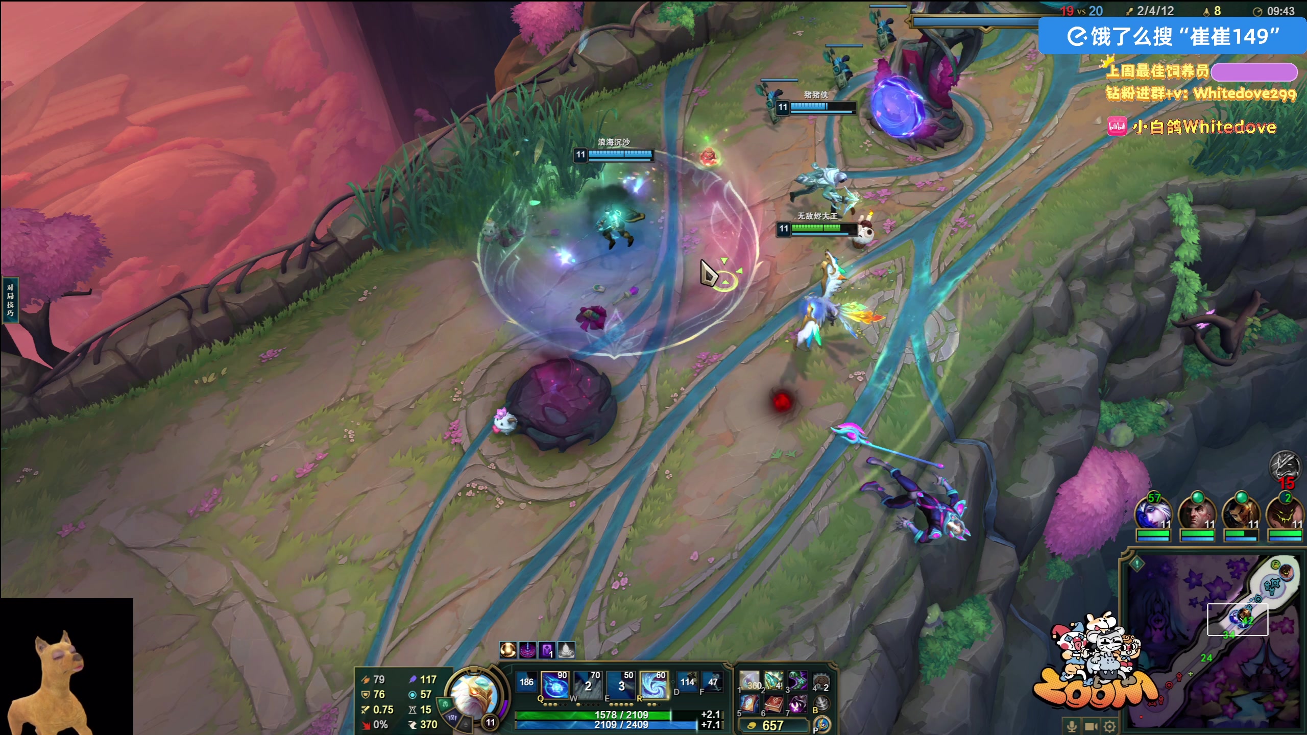 【2025-11-25 01点场】小白鸽WhiteDove：【小白鸽】 宝宝们 集合！