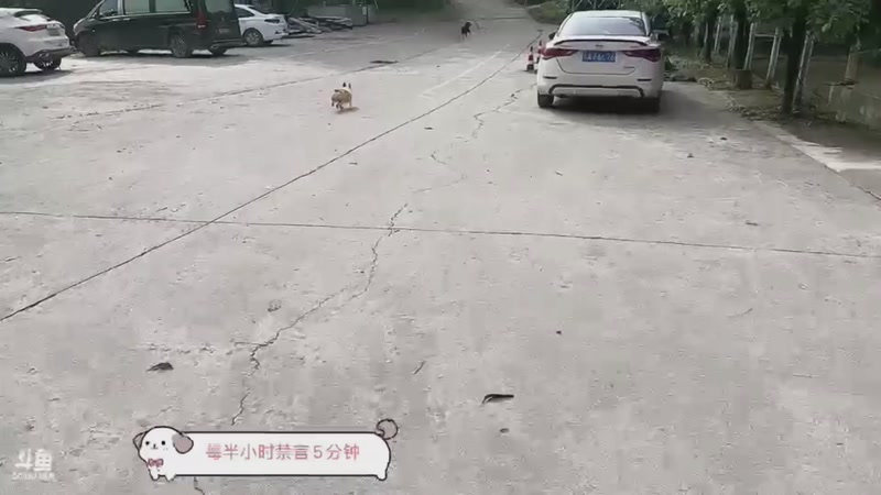 【2025-11-25 完整版】757户外：【非常互娱】757女团S7 娱乐季~