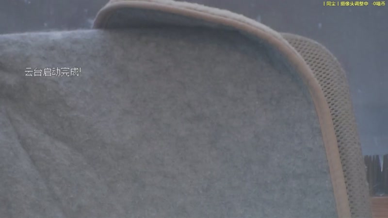 【2025-11-25 16点场】喵放送：喵放送☀️喵呜~