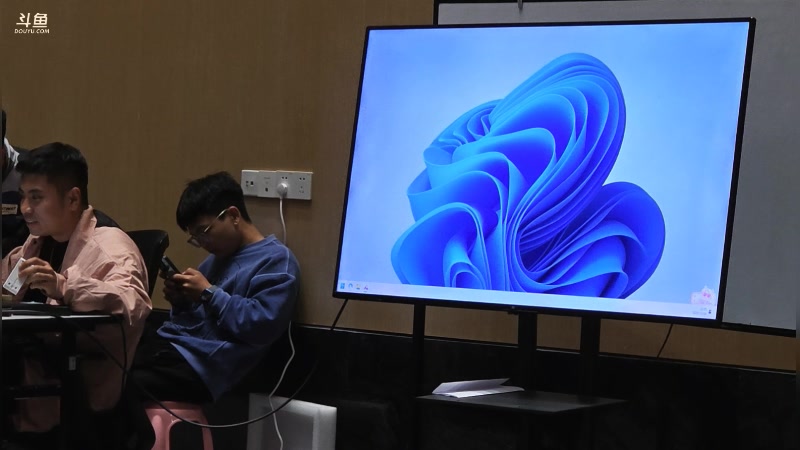 【2025-11-24 22点场】谢彬DD：喂,在吗?进来看Show了.