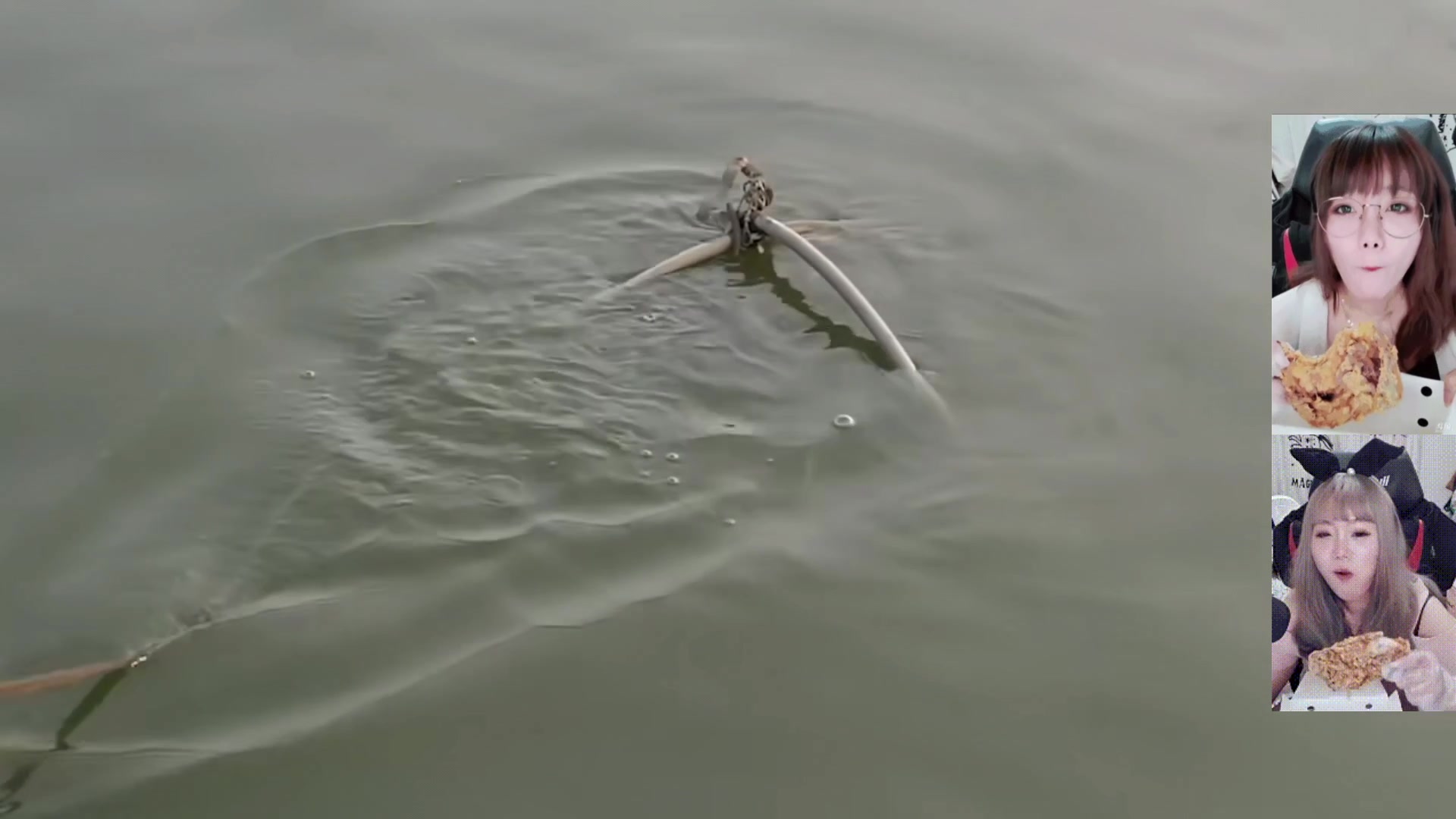 【2025-11-25 09点场】甜心战士：上午再见噜！