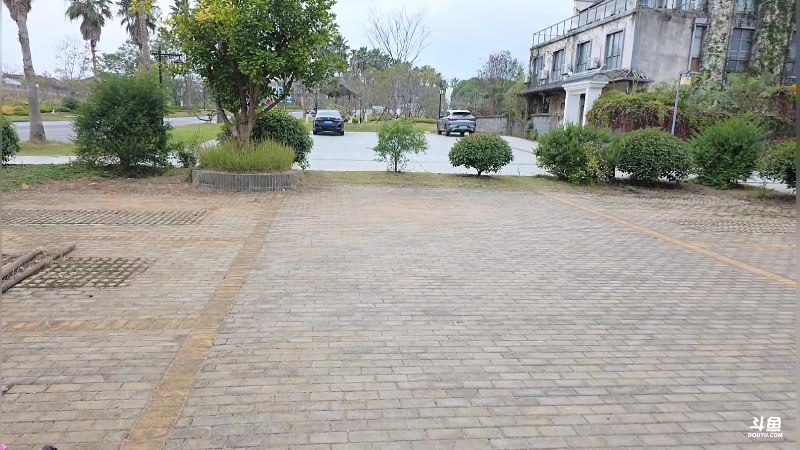 【2025-11-24 13点场】三酒OuO:风吹哪页读哪页 2421040