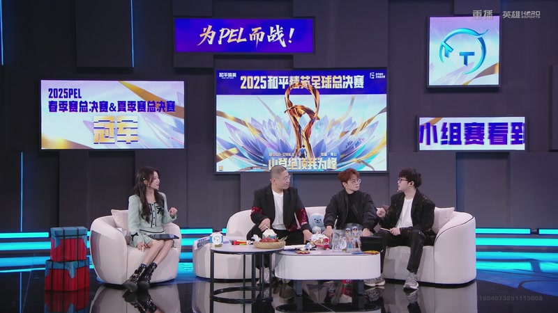 【2025-11-25 02点场】和平精英官方赛事：重播丨全球总决赛-精英赛DAY1