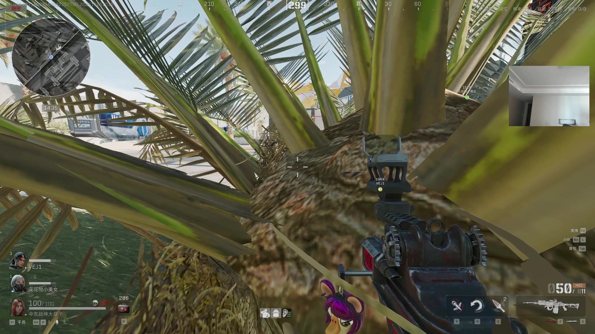 【2025-11-25 09点场】Big茄子：中东打法只打不吃 好好看好好学