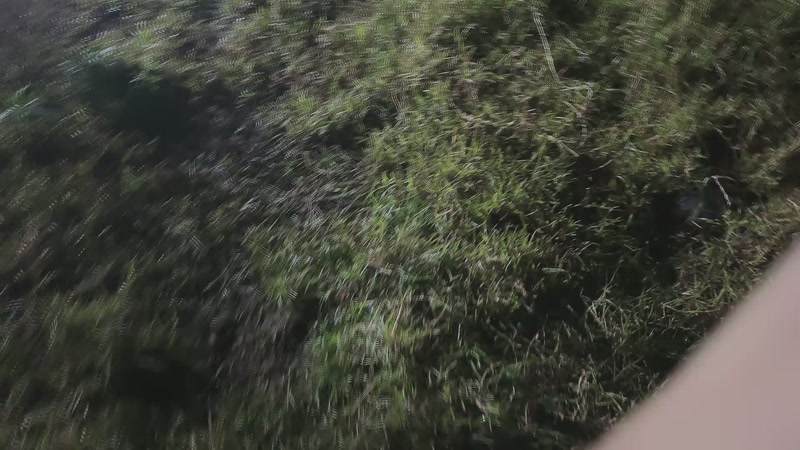 【2025-11-25 完整版】小皮【南波家族】：下岛PK！冲！