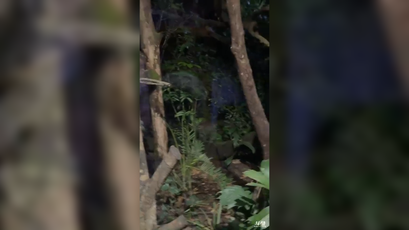 【2025-11-21 21点场】纳豆nado：纳豆nado的直播间