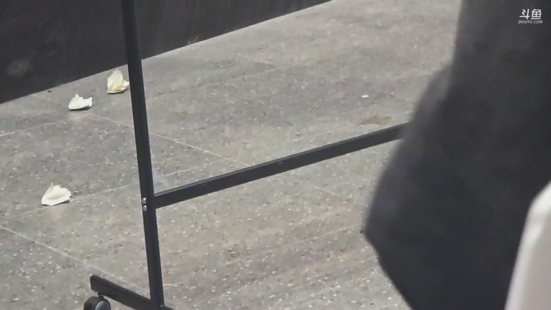 【2025-11-26 17点场】霸气虚幻哥1991：蝴蝶加身！73965