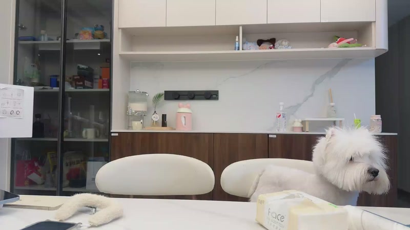 【2025-11-25 完整版】菜到极致小兰摧：和平精英之我在阿勒泰