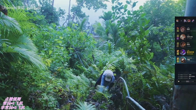 【2025-11-26 21点场】叶音符：新版本,野区万物生。