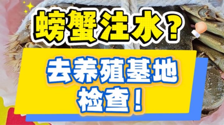 螃蟹注水？去养殖基地检查！#螃蟹#注水#缺斤少两#武汉市场监管