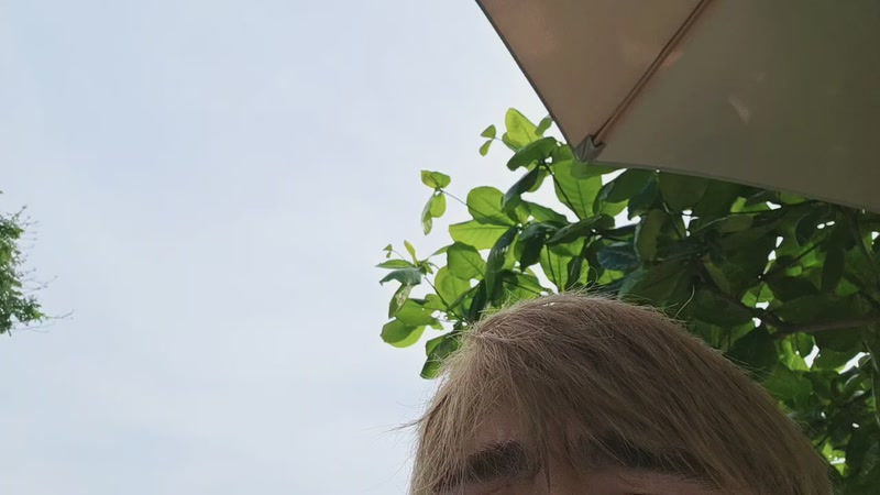 【2025-11-27 12点场】小鱼小鱼吃虾米：三亚筹备 1.5倍预存中