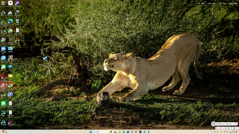 【2025-11-27 10点场】寅子：直播中。。。。。 71415