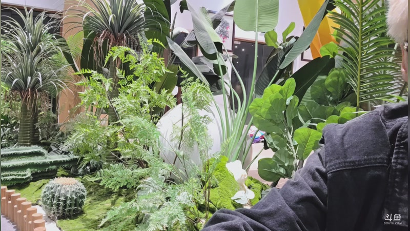 【2025-11-26 18点场】三酒OuO:风吹哪页读哪页 2421040