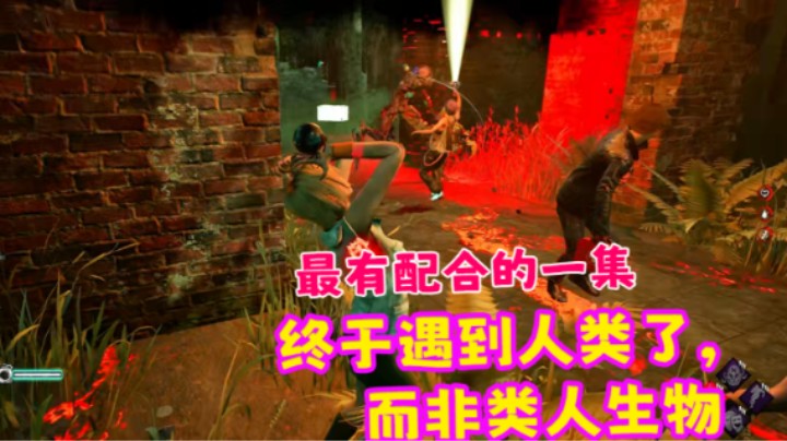 单排人最有举措标一集！实在正方才正的人类队友，而非类人生物